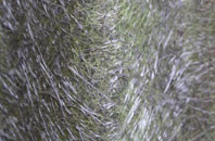 Crossgreen fibreglass roof work